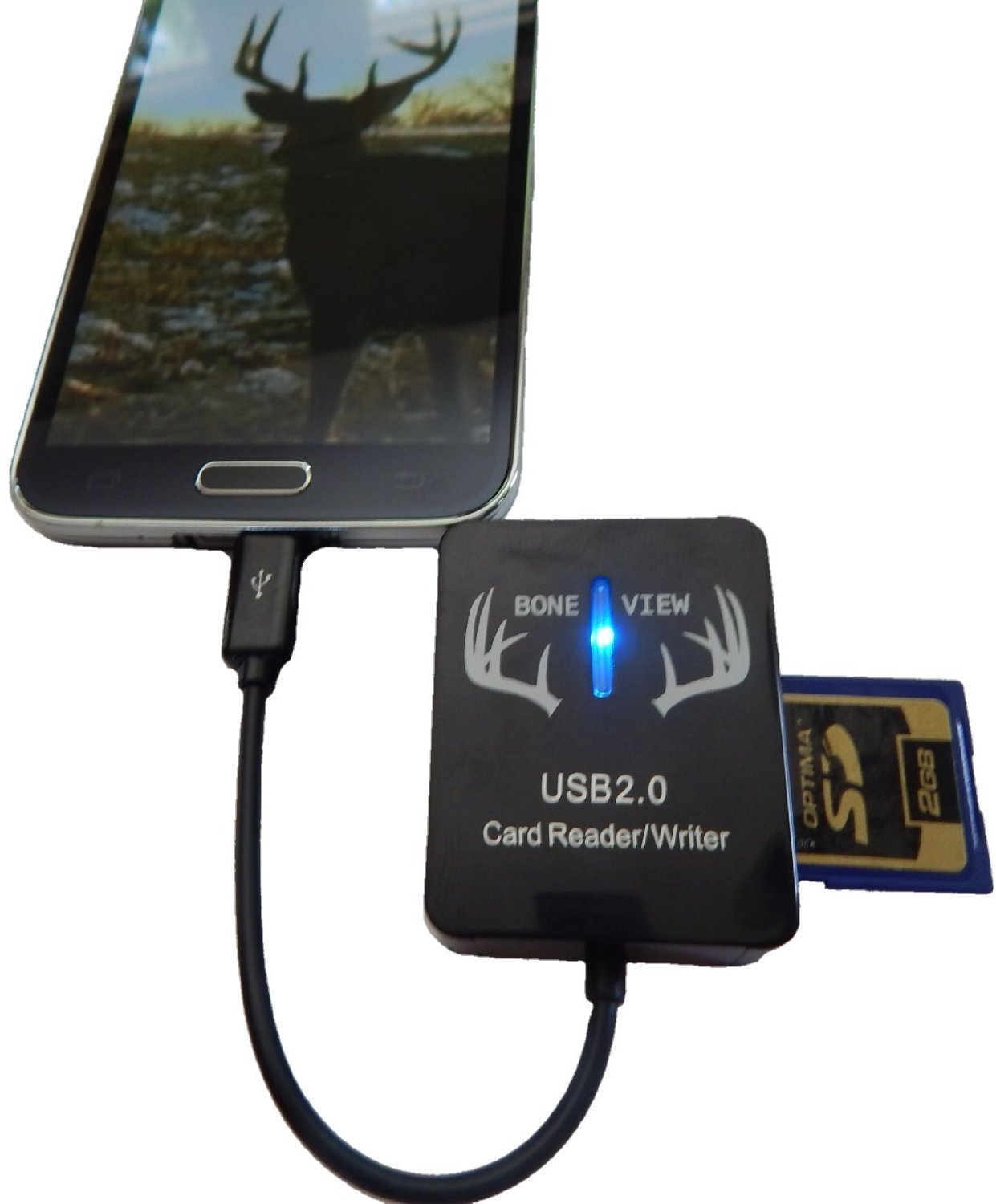 The Best SD Card Reader For Viewing Your Wildlife Footage