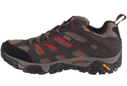 Merrell Mens Moab Gore-Tex Waterproof Hiking Shoe