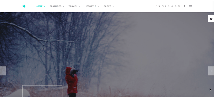 best artist wordpress theme
