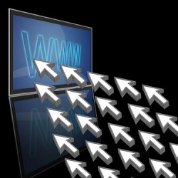 Blog Traffic