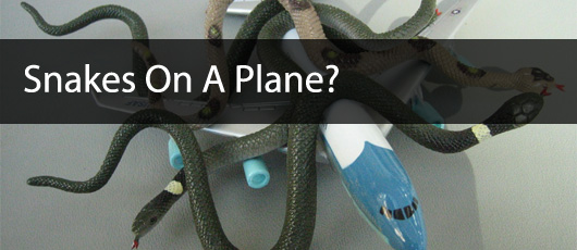 Snakes On A Plane