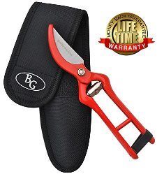 Professional Pruning Shears by Beville Gardens