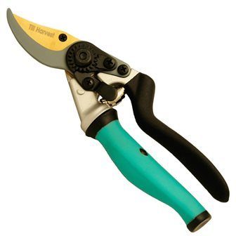 Steel Bypass Pruning Shears by Till Harvest