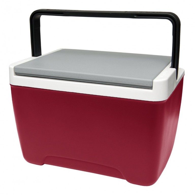 The Best Cooler for the Money Blogtrepreneur