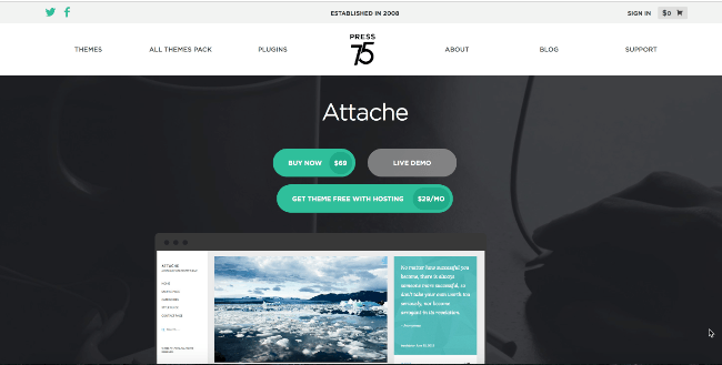 theme wordpress for writers and authors